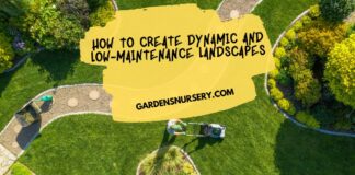 How To Create Dynamic And Low-Maintenance Landscapes
