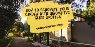 How To Renovate Your Garden with Innovative Glass Updates