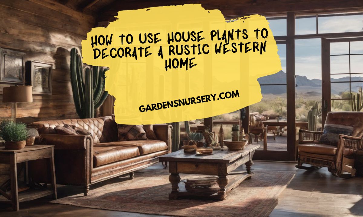 How To Use House Plants to Decorate A Rustic Western Home