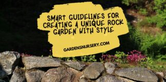 Smart Guidelines For Creating a Unique Rock Garden with Style
