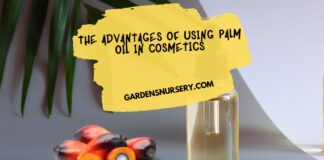 The Advantages of Using Palm Oil in Cosmetics