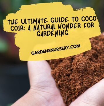 The Ultimate Guide to Coco Coir A Natural Wonder for Gardening