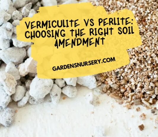 Vermiculite vs Perlite Choosing the Right Soil Amendment