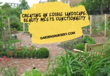 Creating an Edible Landscape Beauty Meets Functionality
