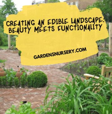 Creating an Edible Landscape Beauty Meets Functionality