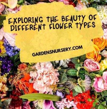 Exploring the Beauty of Different Flower Types