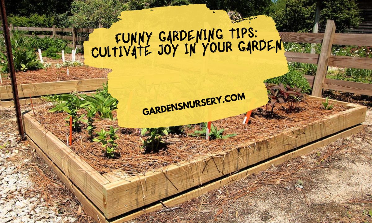 Funny Gardening Tips Cultivate Joy in Your Garden
