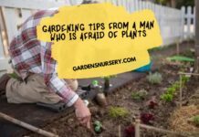 Gardening Tips from a Man Who is Afraid of Plants