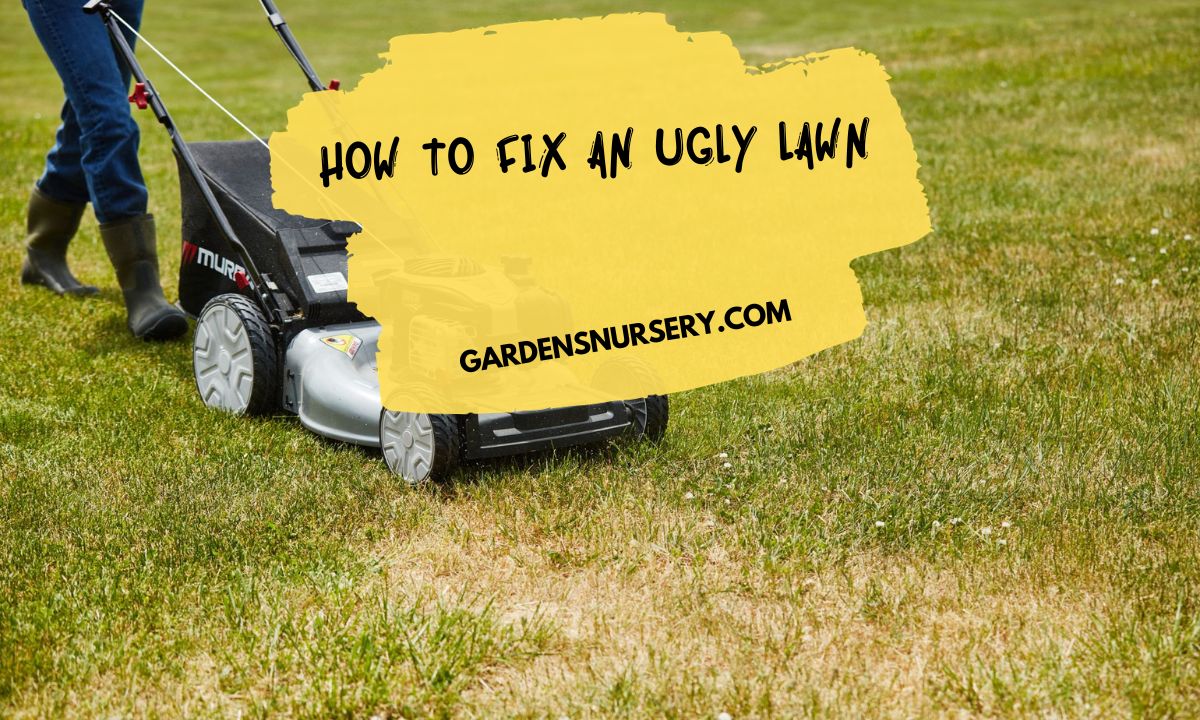 How to Fix an Ugly Lawn Transform Your Yard Into a Lush Paradise