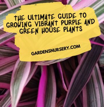 The Ultimate Guide to Growing Vibrant Purple and Green House Plants