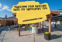 Transform Your Backyard Oasis DIY Landscaping Tips