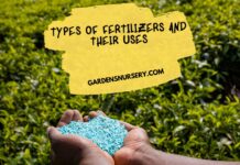 Types of Fertilizers and Their Uses