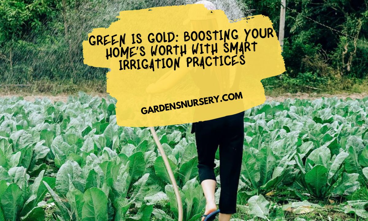 Green Is Gold Boosting Your Home’s Worth With Smart Irrigation Practices