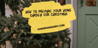 How to Prepare Your Home Garden For Christmas