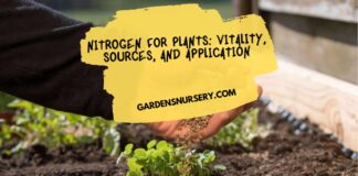 Nitrogen for Plants Vitality, Sources, and Application