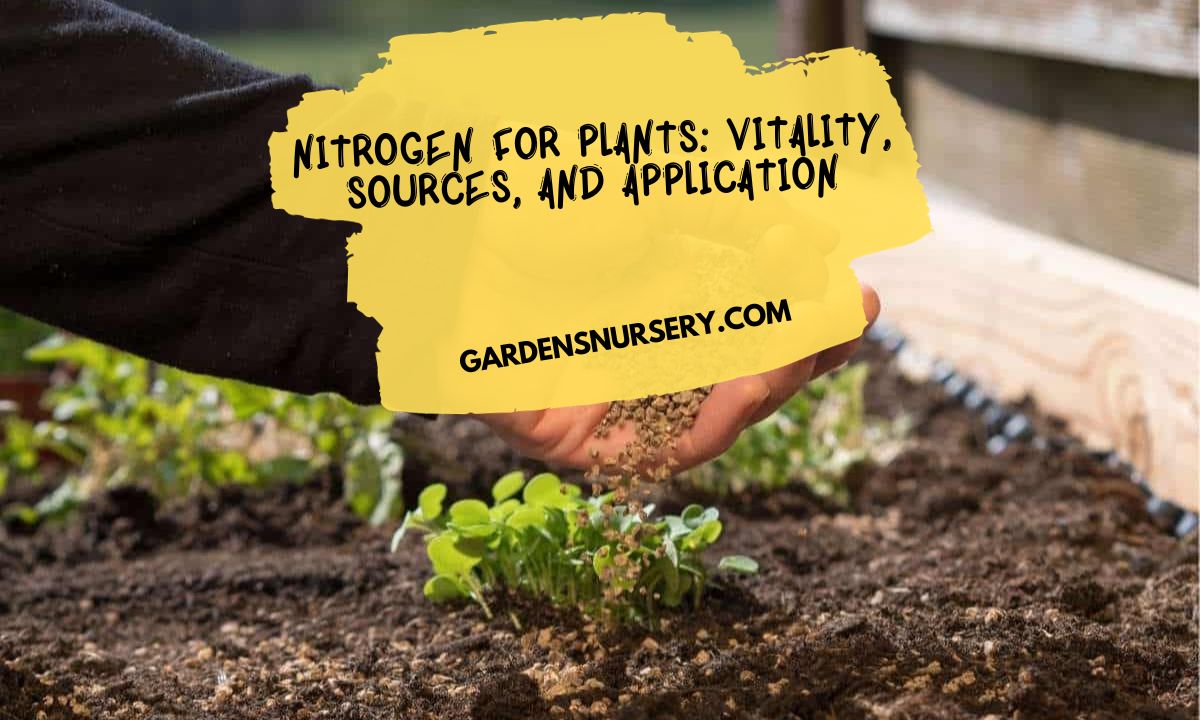 Nitrogen for Plants Vitality, Sources, and Application