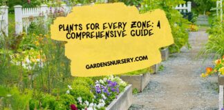 Plants for Every Zone A Comprehensive Guide