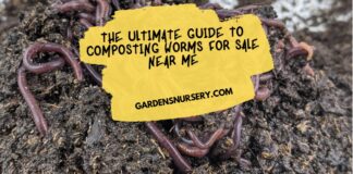 The Ultimate Guide to Composting Worms for Sale Near Me