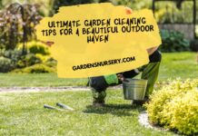 Ultimate Garden Cleaning Tips for a Beautiful Outdoor Haven