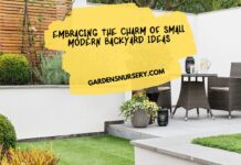 Embracing the Charm of Small Modern Backyard Ideas