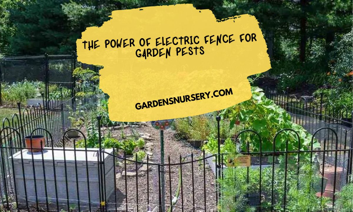 The Power of Electric Fence for Garden Pests
