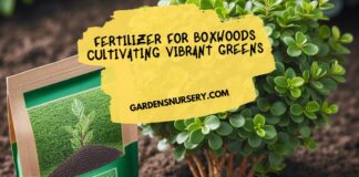 Fertilizer for Boxwoods Cultivating Vibrant Greens