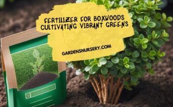 Fertilizer for Boxwoods Cultivating Vibrant Greens
