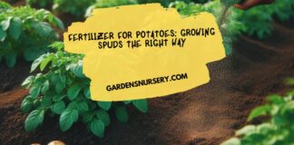 Fertilizer for Potatoes Growing Spuds the Right Way