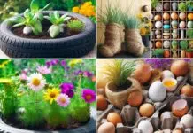 Top14 Most Clever Gardening Tips and Ideas